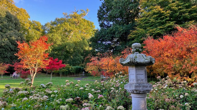 A Japanese lantern with red and yellow leaved trees behind